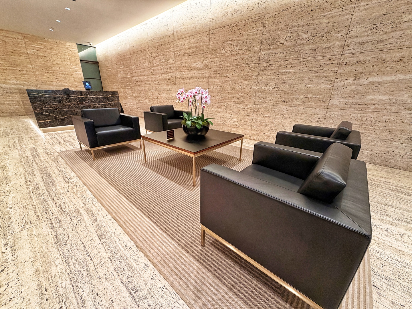 175 E Delaware Place Unit: 5808