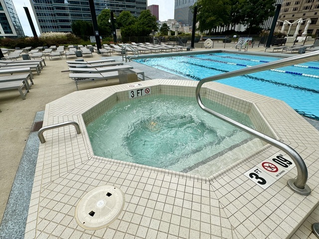 225 N Columbus Drive Unit: 5310