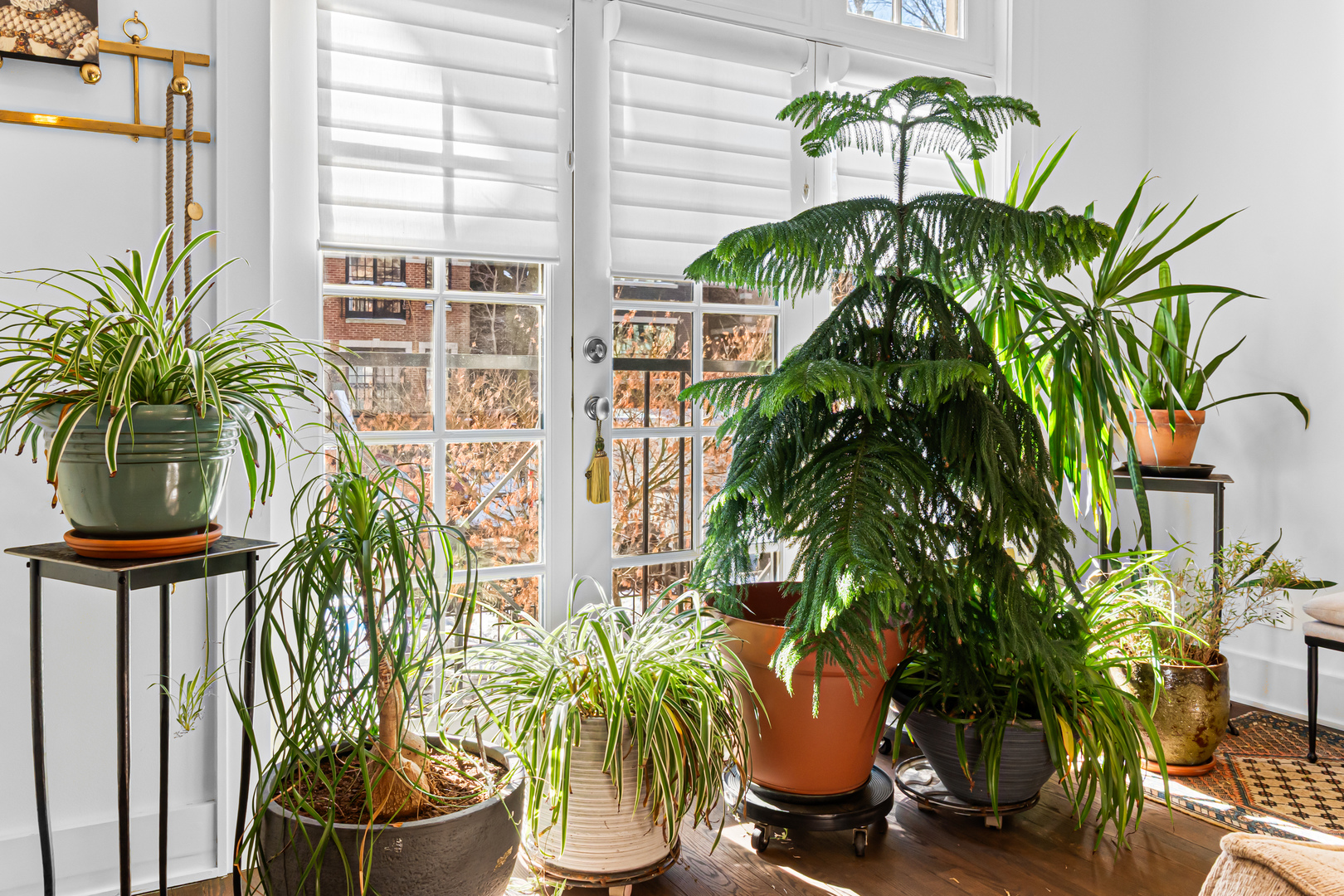 820 W Buckingham Place Unit: 1