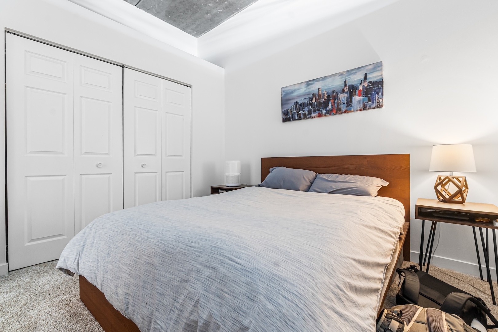 833 W 15th Place Unit: 311