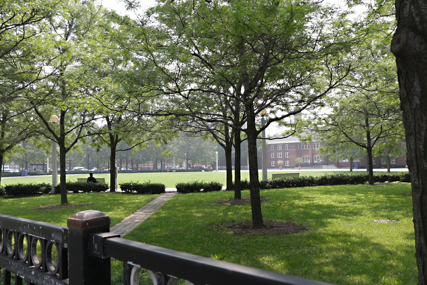343 W Old Town Court Unit: 708
