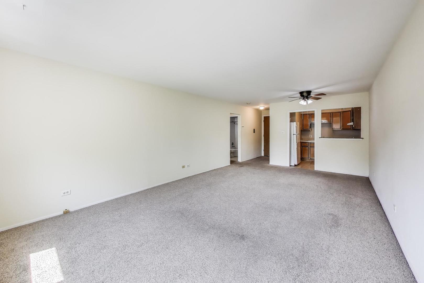 561 W Stratford Place Unit: 4F
