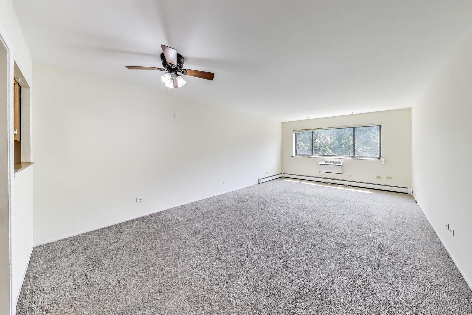 561 W Stratford Place Unit: 4F