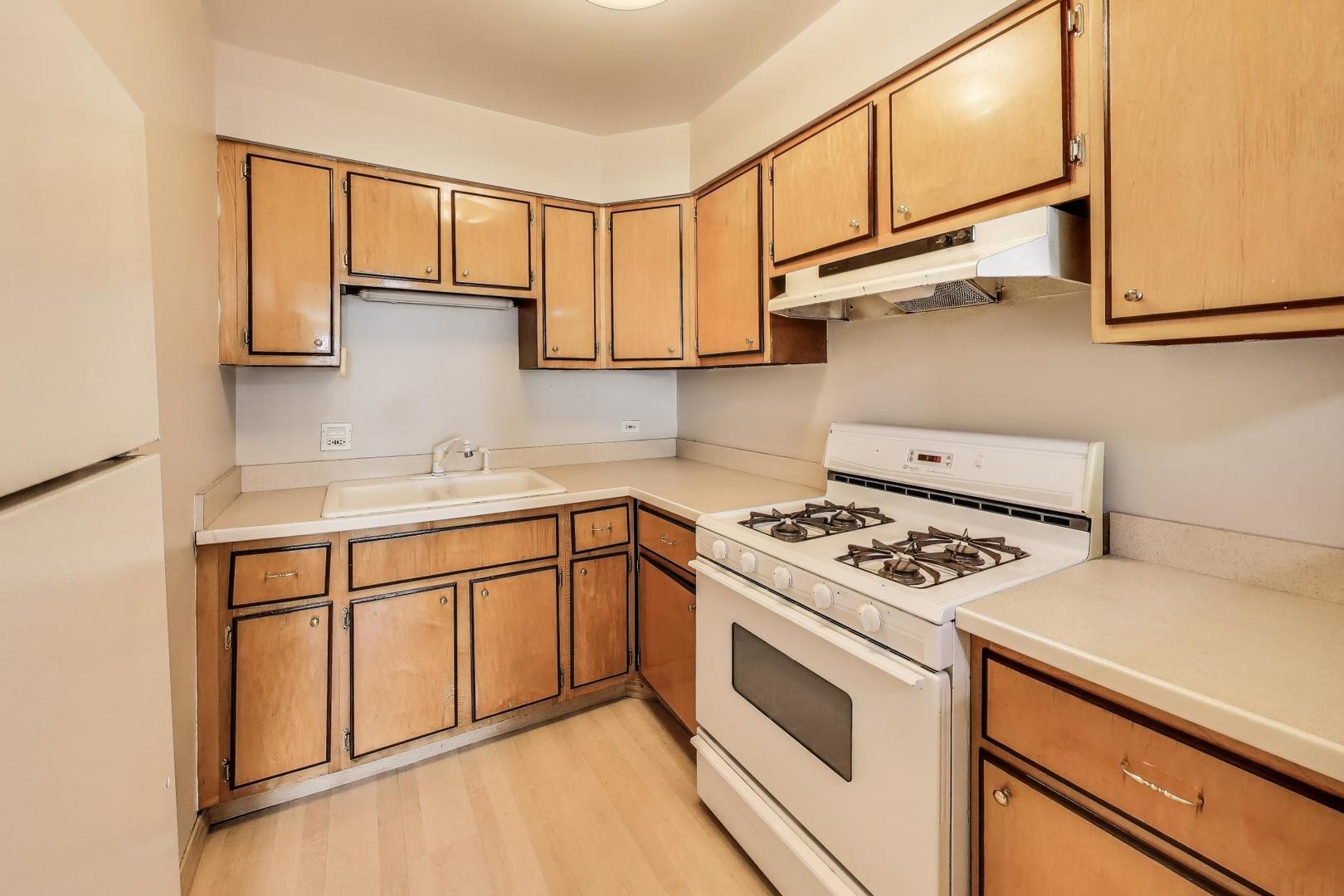 561 W Stratford Place Unit: 4F