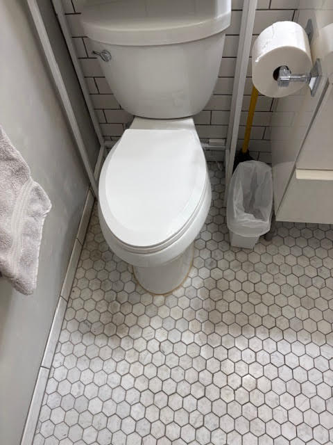 1255 N SANDBURG Terrace Unit: 806
