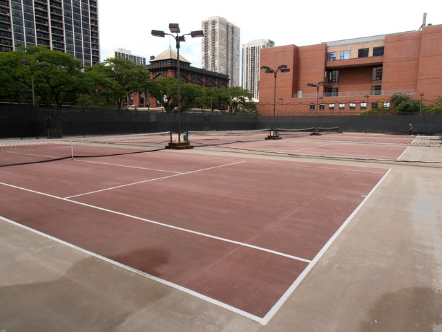 1255 N SANDBURG Terrace Unit: 806
