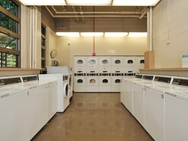 1255 N SANDBURG Terrace Unit: 806