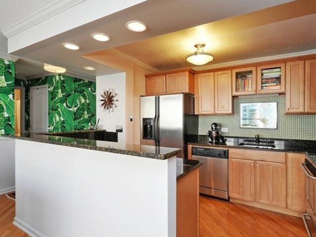 1255 N SANDBURG Terrace Unit: 806