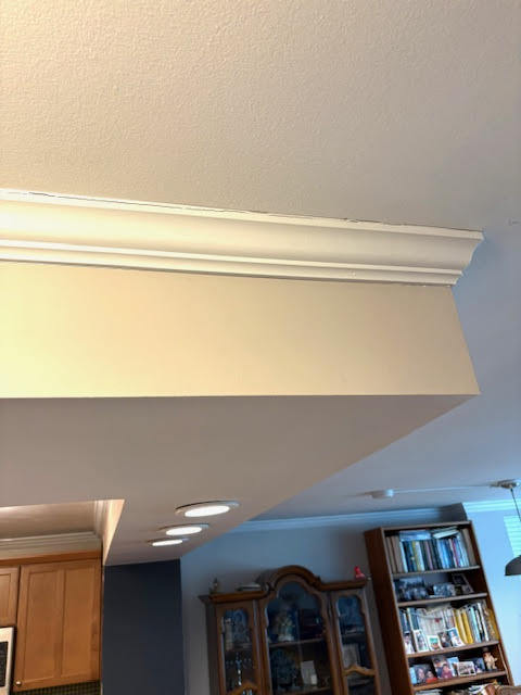 1255 N SANDBURG Terrace Unit: 806