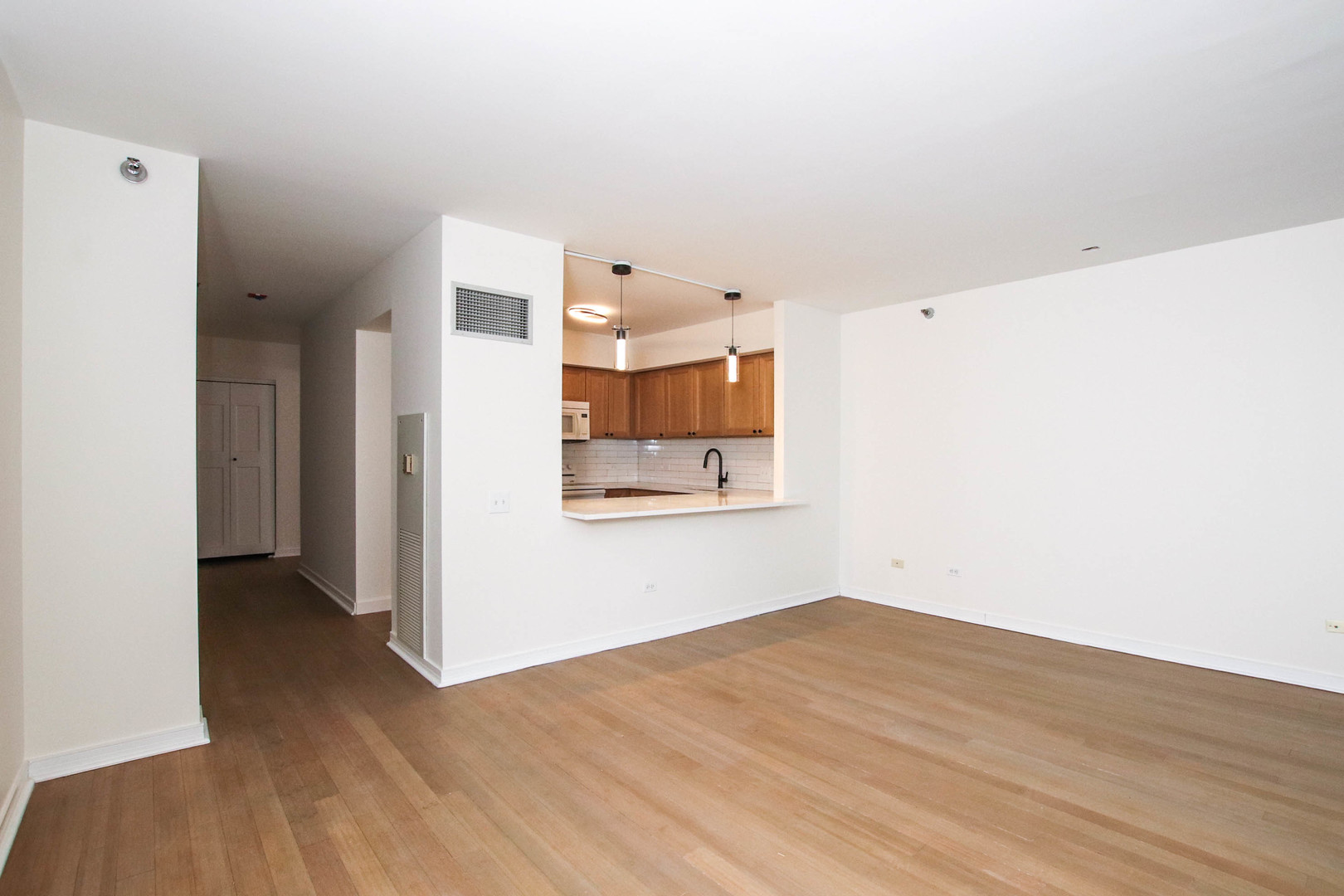 512 N Mcclurg Court Unit: 3103