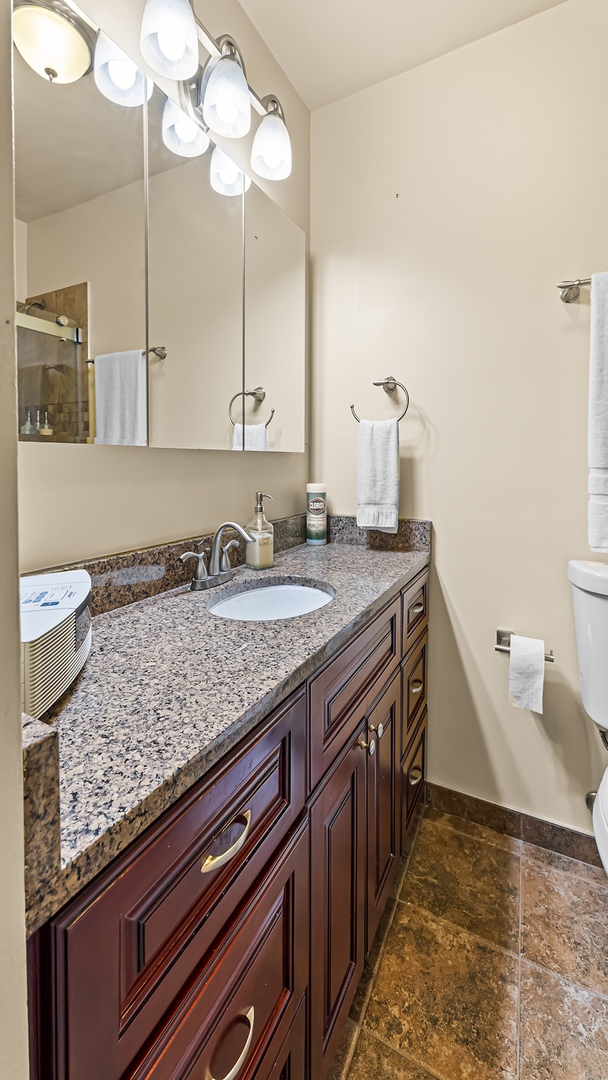 5455 N SHERIDAN Road Unit: 3306