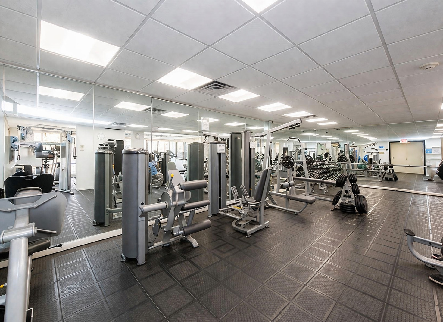 3930 N PINE GROVE Avenue Unit: 310