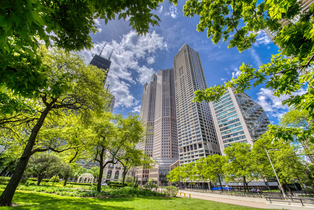 1000 N LAKE SHORE Plaza Unit: 30C