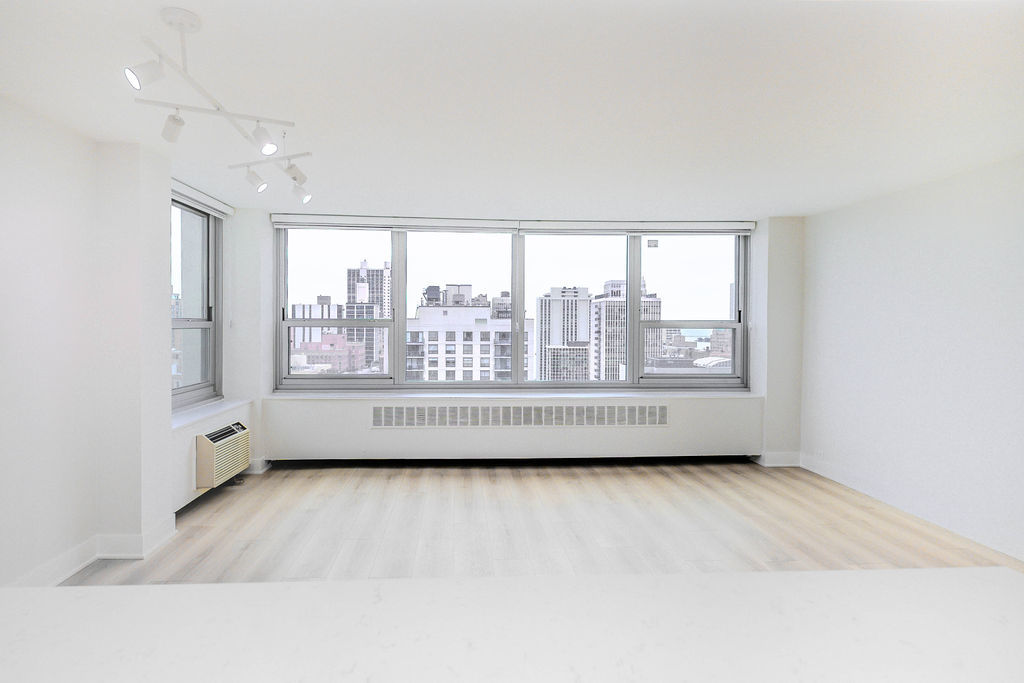 1255 N Sandburg Terrace Unit: 2606E