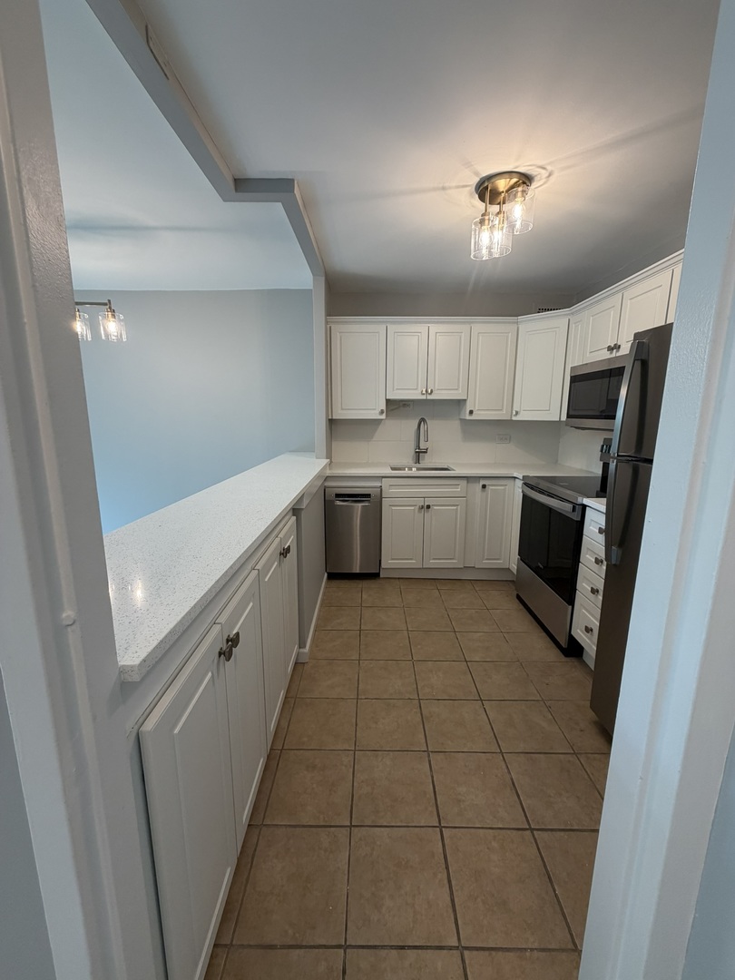 1255 N Sandburg Terrace Unit: 309E