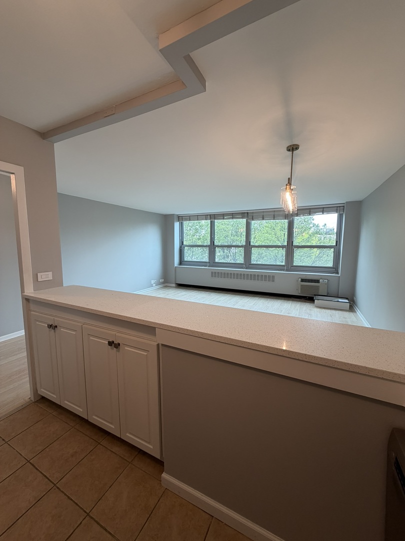 1255 N Sandburg Terrace Unit: 309E