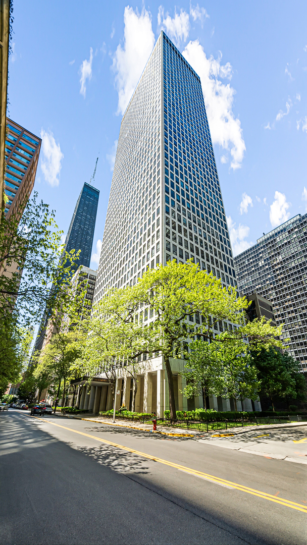 260 E Chestnut Street Unit: 314
