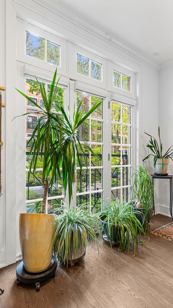 820 W Buckingham Place Unit: 1