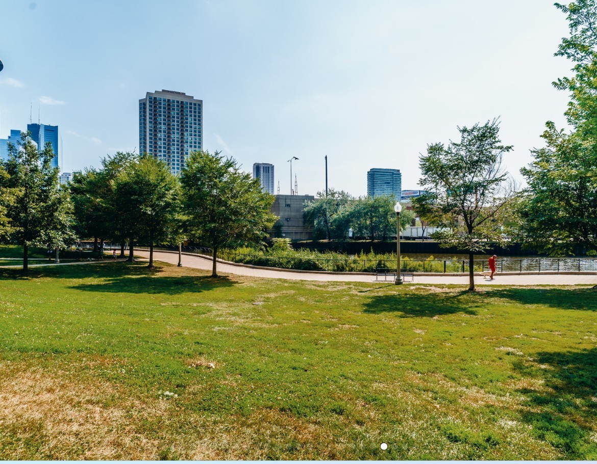 653 N Kingsbury Street Unit: 1007