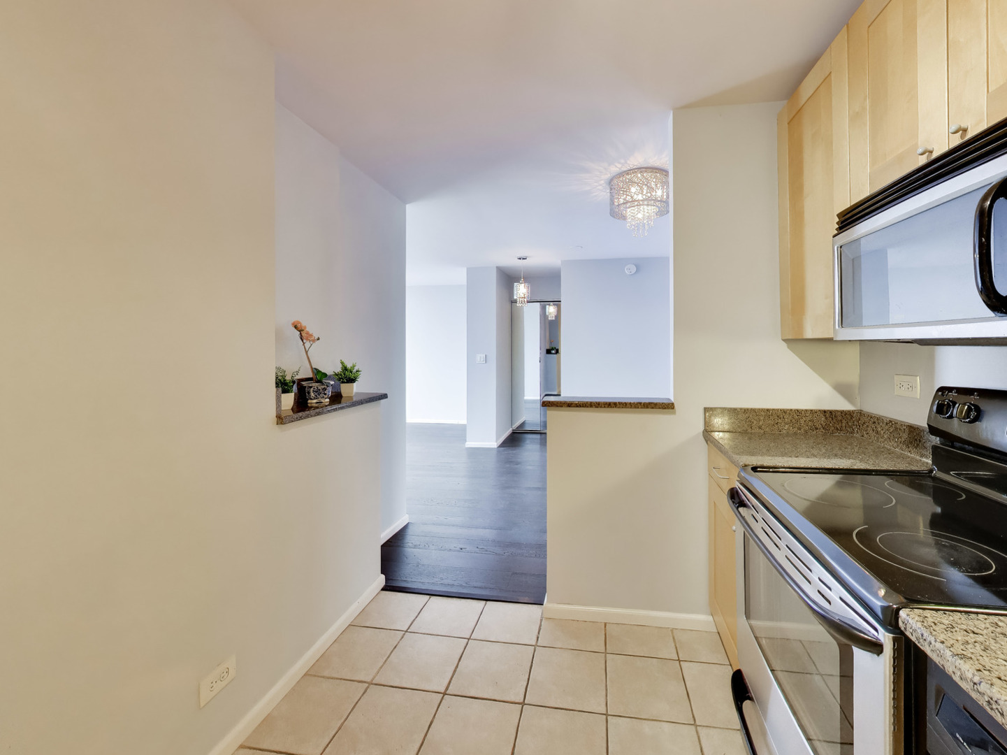 655 W Irving Park Road Unit: 5411
