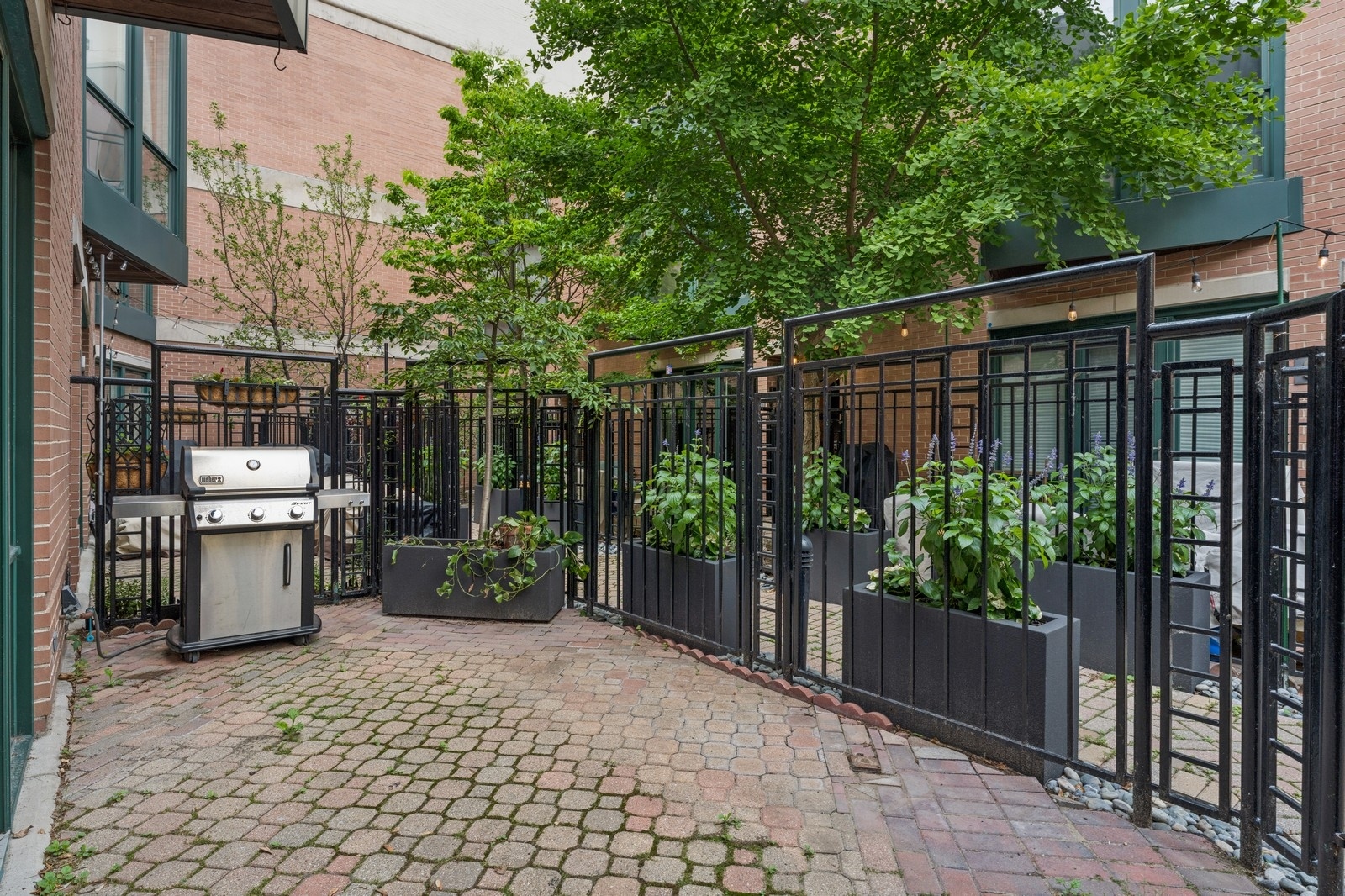 2910 N Commonwealth Avenue Unit: 3