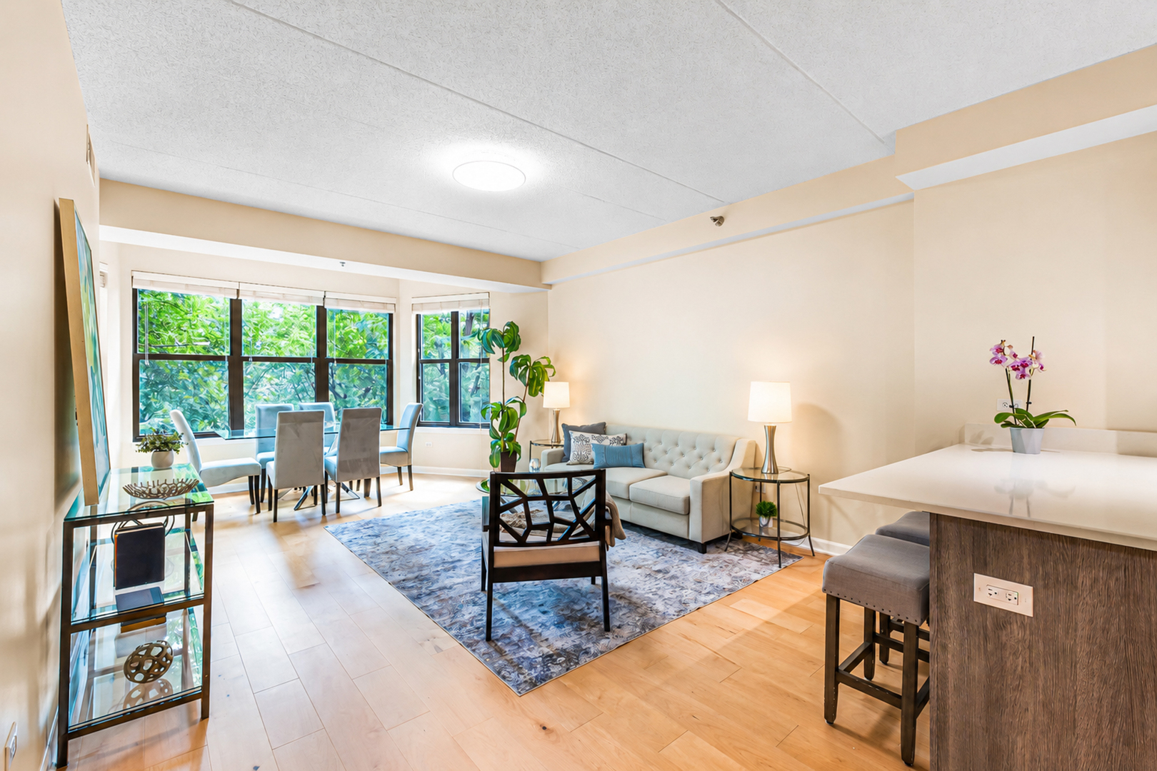 1250 S Indiana Avenue Unit: 307