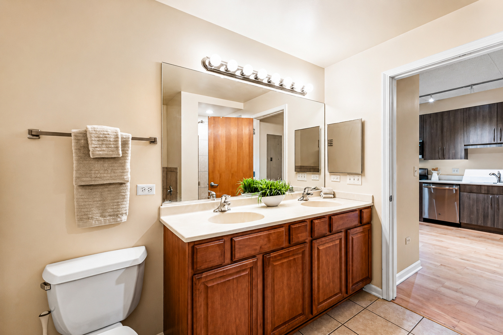 1250 S Indiana Avenue Unit: 307