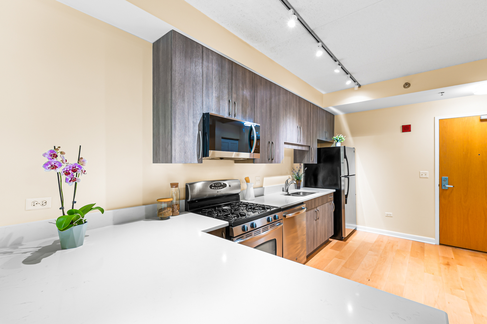 1250 S Indiana Avenue Unit: 307