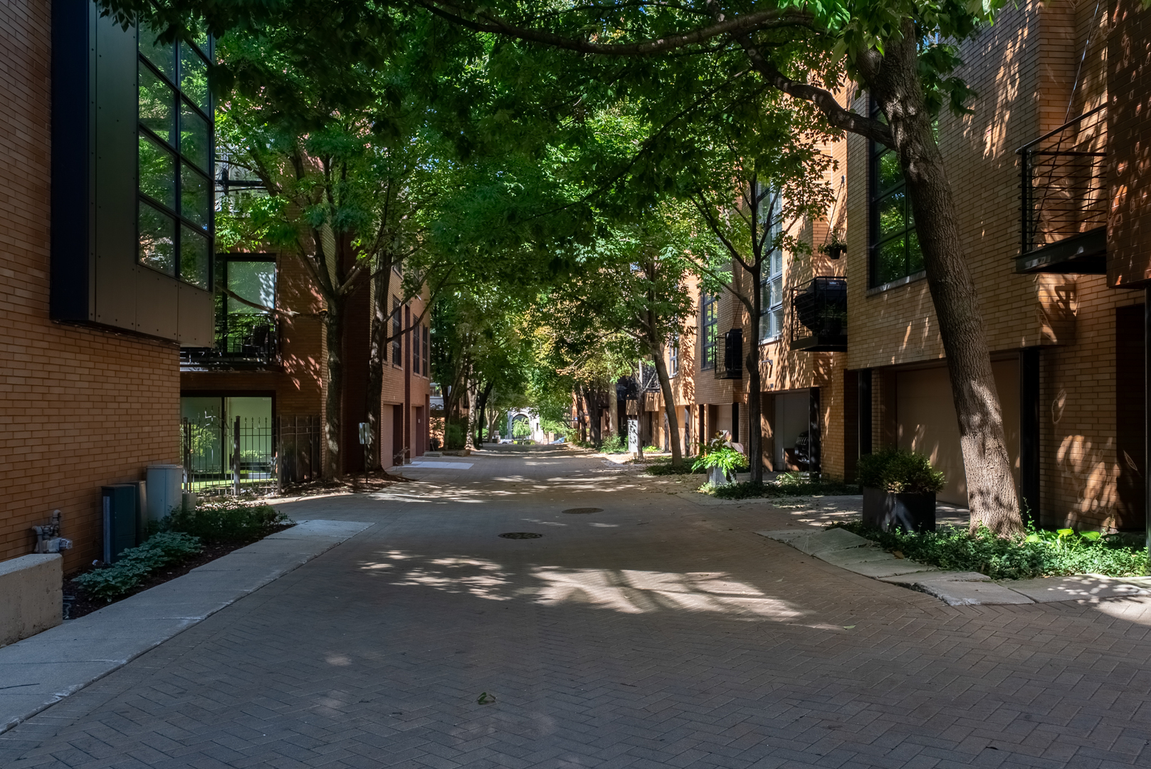 1767 N Hoyne Avenue Unit: K