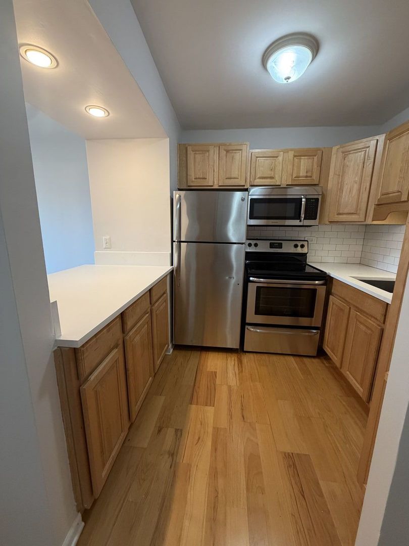 1255 N Sandburg Terrace Unit: 1508