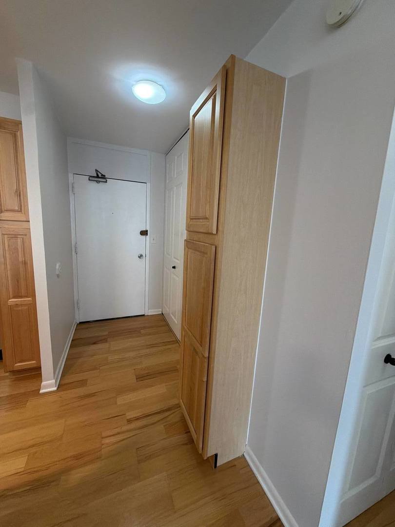 1255 N Sandburg Terrace Unit: 1508