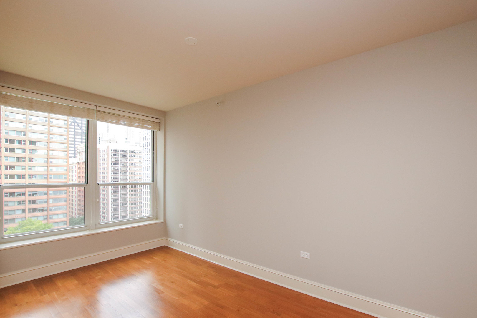 850 N Lake Shore Drive Unit: 1310