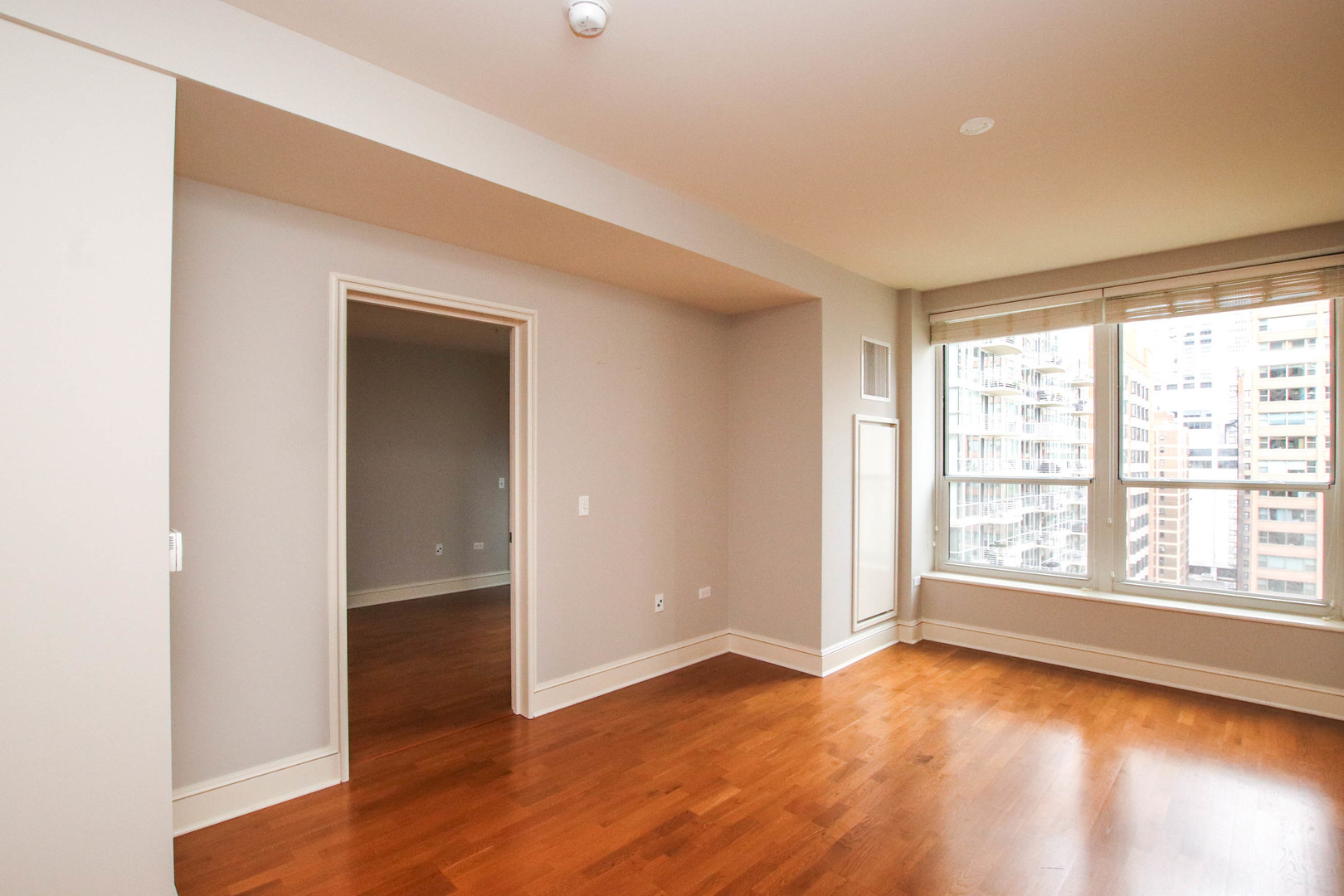 850 N Lake Shore Drive Unit: 1310