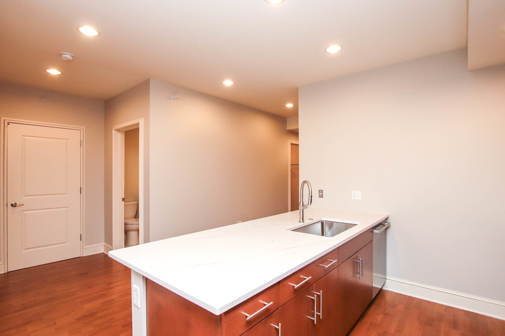 850 N Lake Shore Drive Unit: 1310