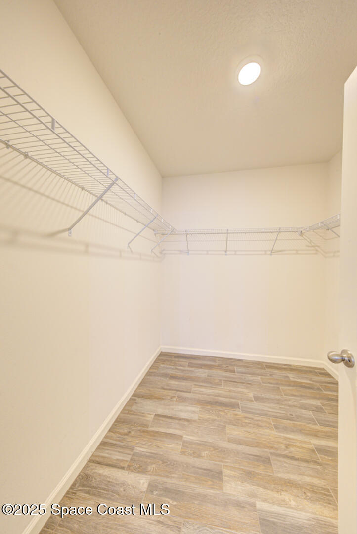 279 Forest Trace Circle