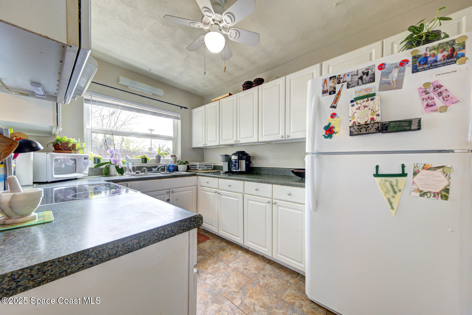 103 Dudley Drive