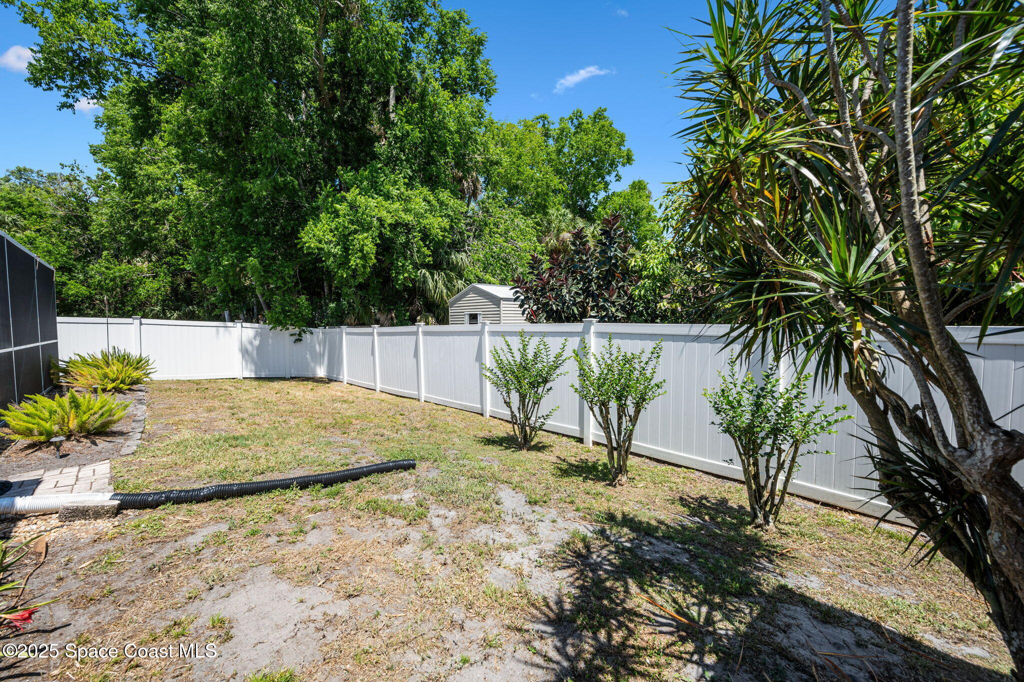 6519 Bamboo Avenue