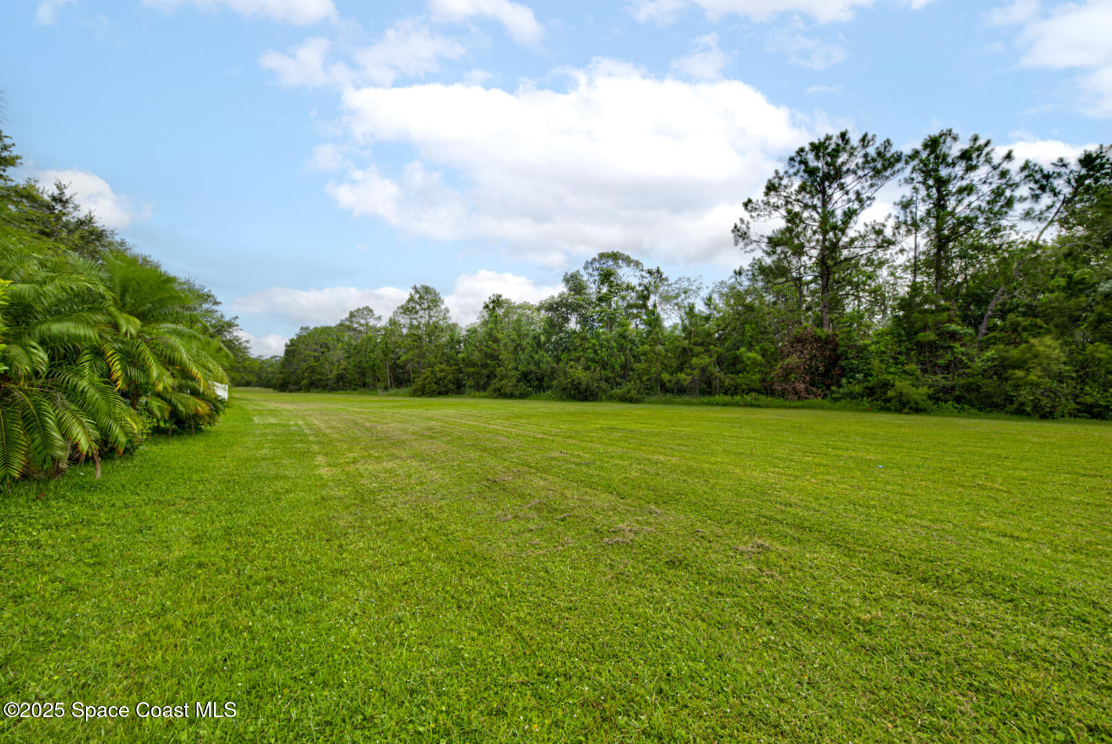 3142 Dark Sky Drive