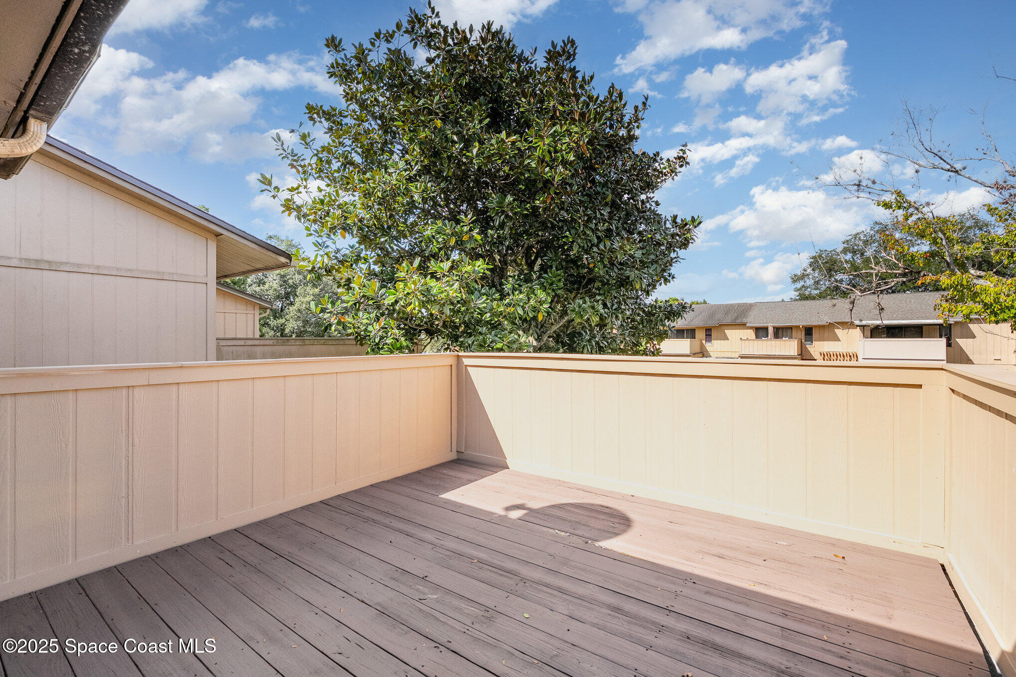 1913 Cashew Courtway