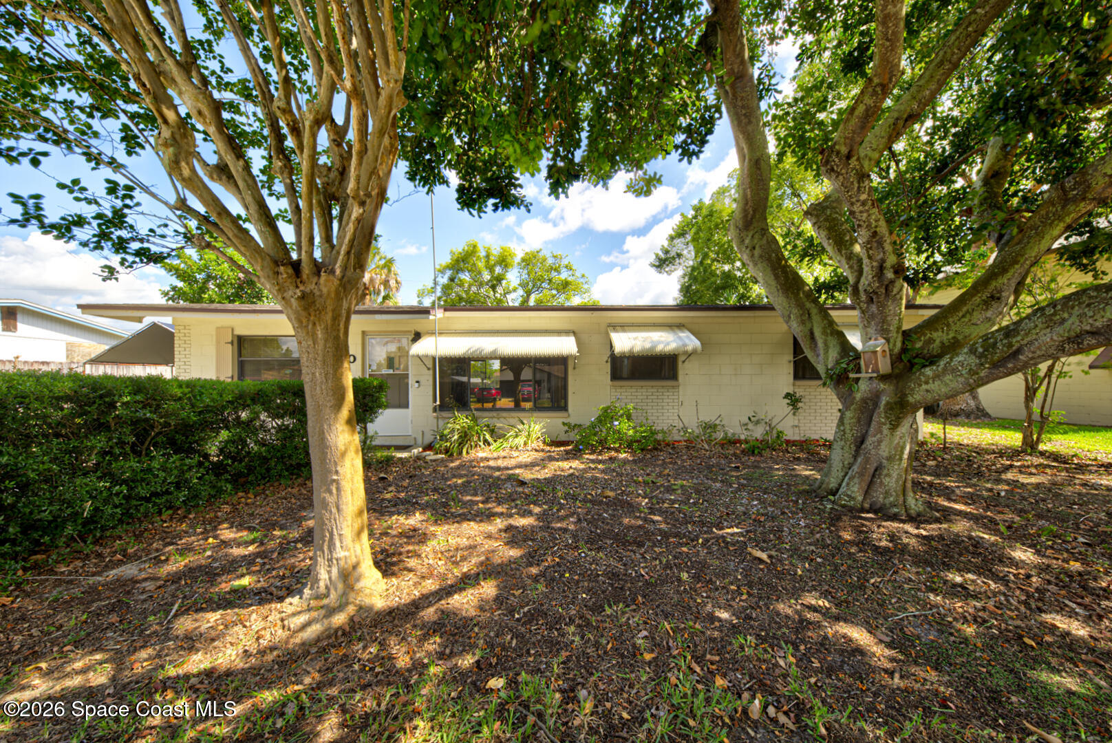 990 Hibiscus Street