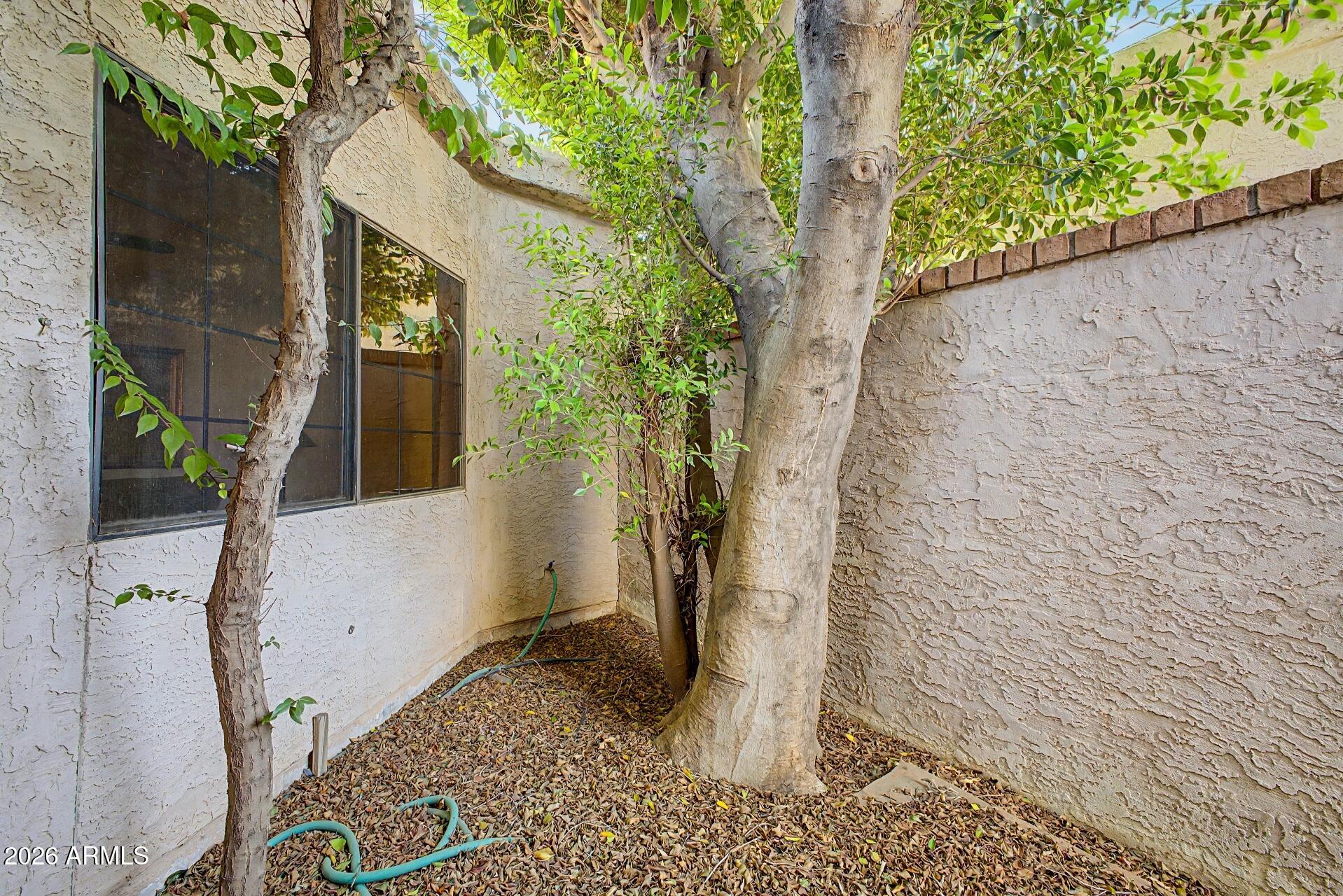 7394 E BUENA TERRA Way