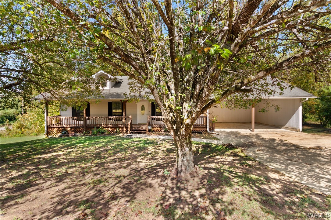 20642 Highway 11 N