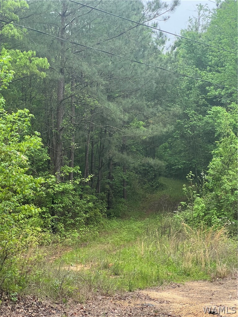0 Sylvan Loop Road