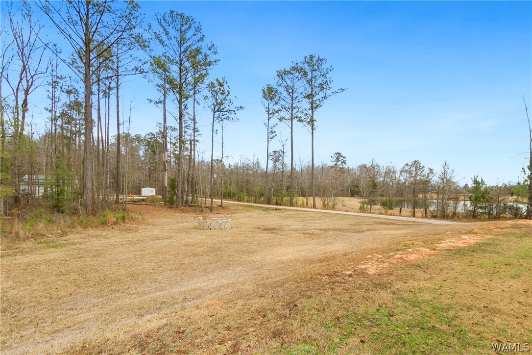 14118 Sipsey Valley Rd S