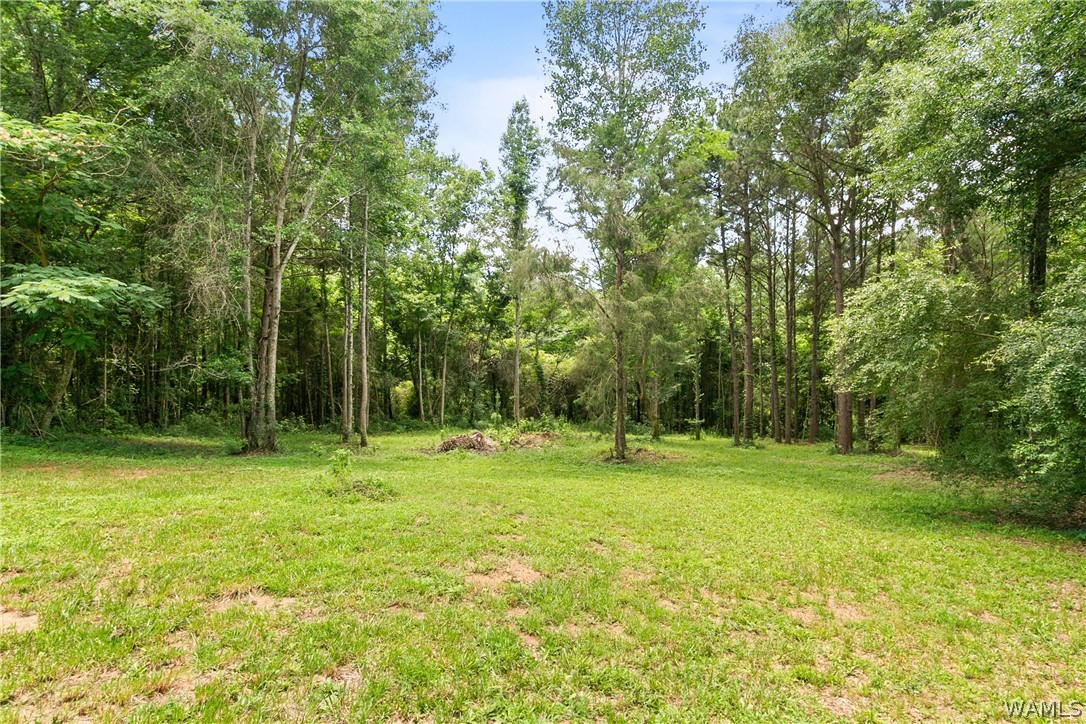 9596 Alabama Highway 60
