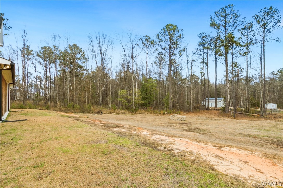 14118 Sipsey Valley Rd S