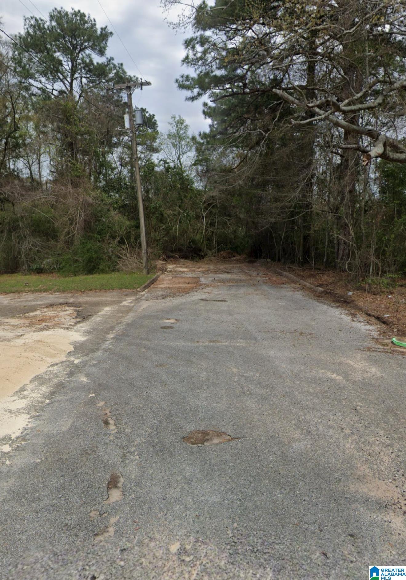 0 BRUNDIDGE STREET .52 acres