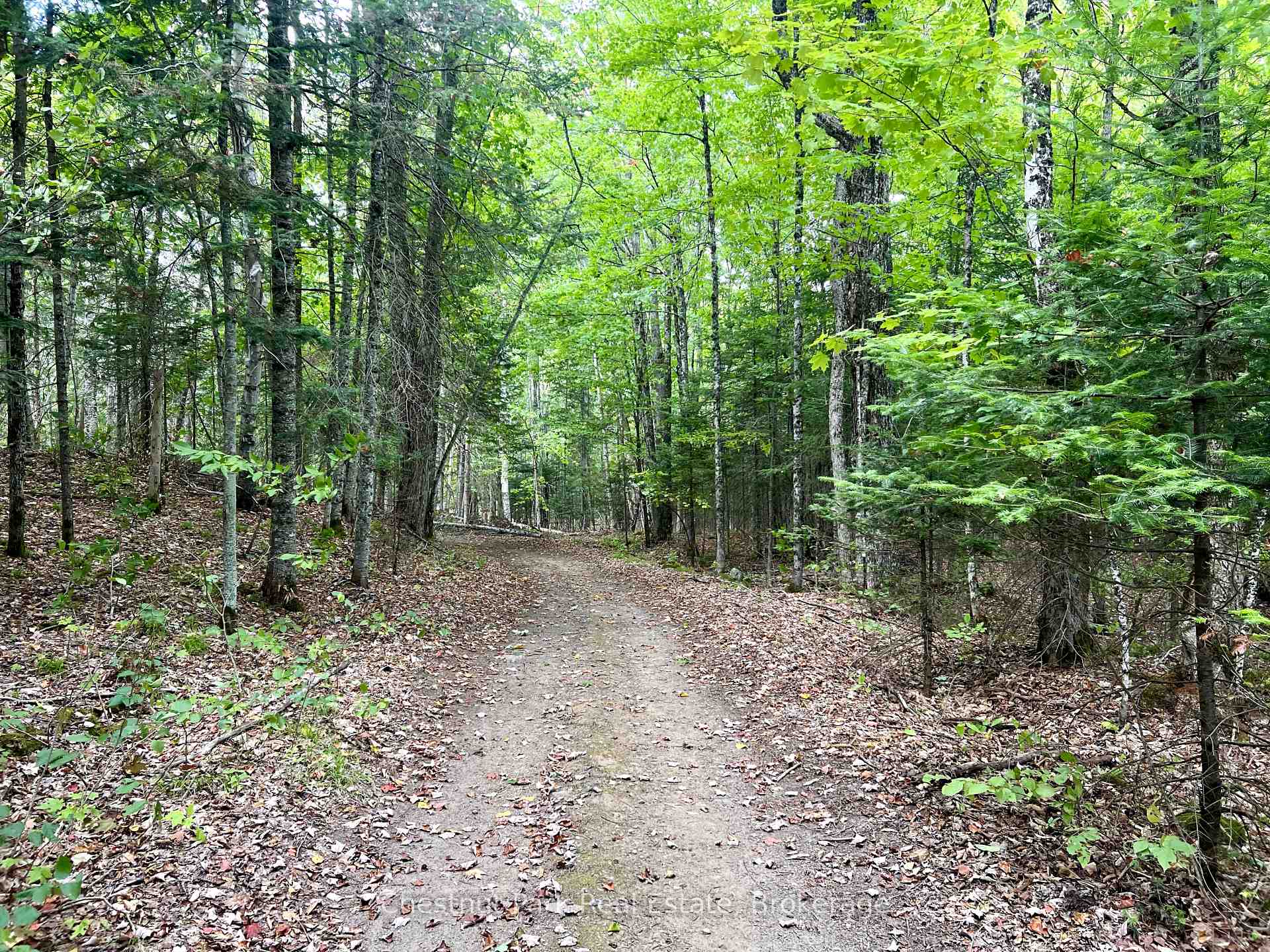 8 William James Court 28