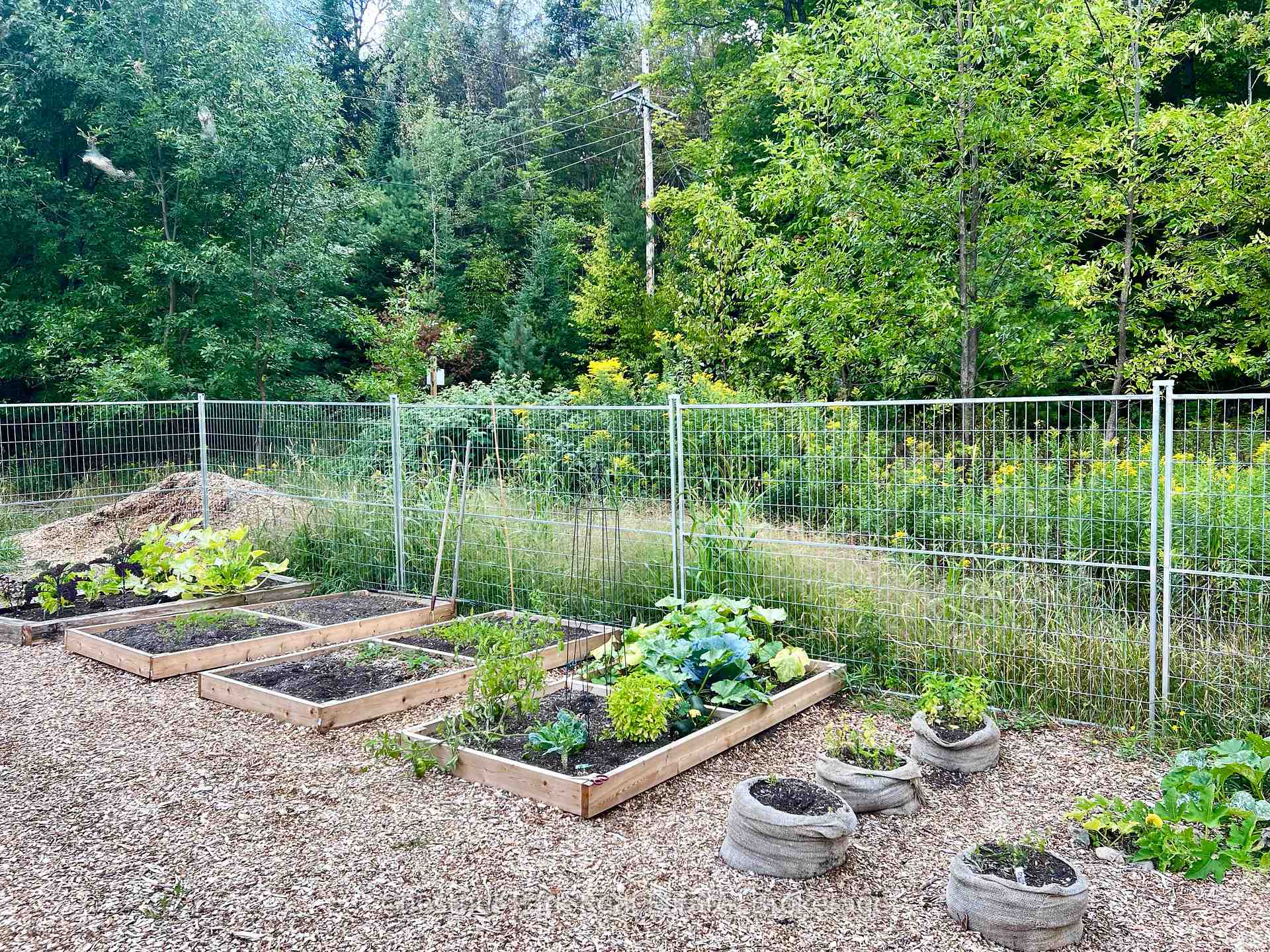 8 William James Court 28