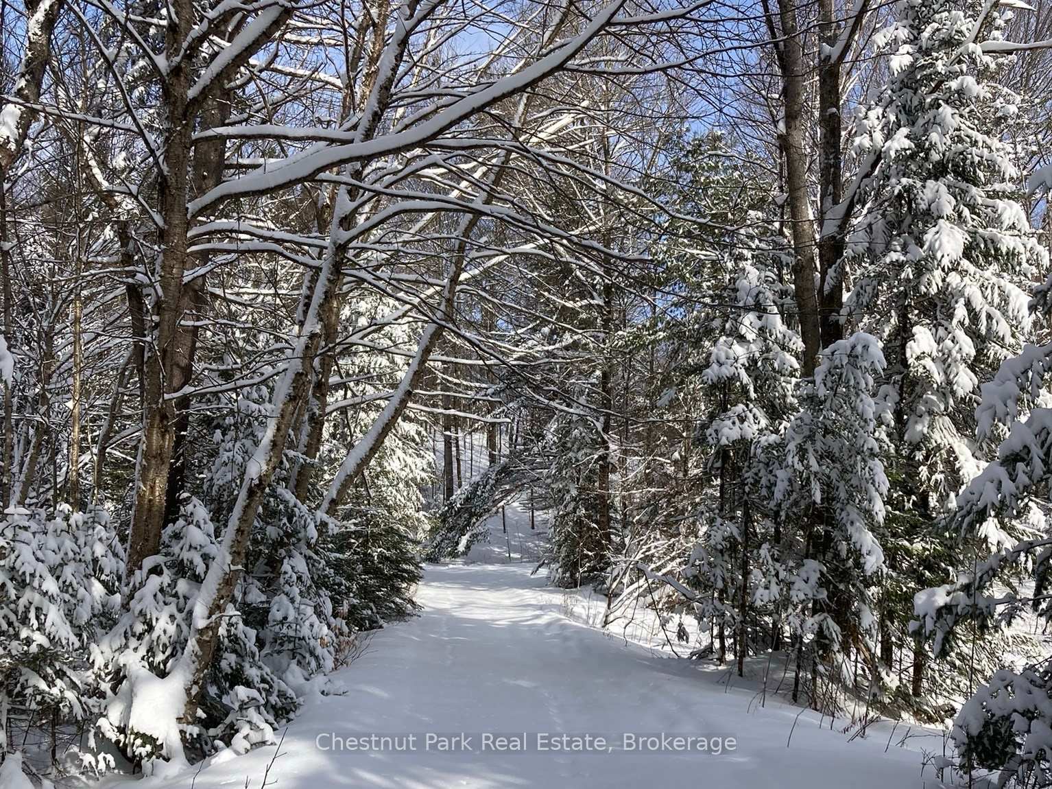 8 William James Court 28